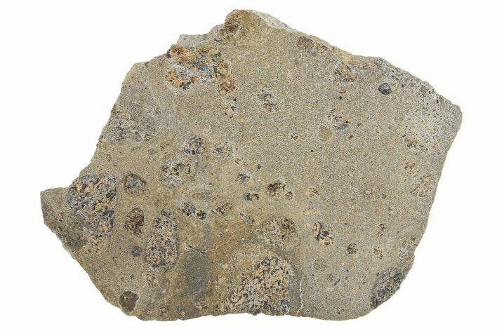 Eucrite Meteorite Slice ( g) - Jikharra #296014